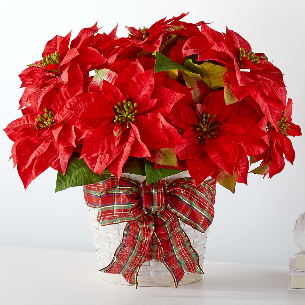 Happiest Holidays Poinsettia – DANDELIONS ALL THINGS WEDDINGS & EVENTS, Germanton NC