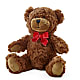 Adorable Plush Bear – DANDELIONS ALL THINGS WEDDINGS & EVENTS, Germanton NC