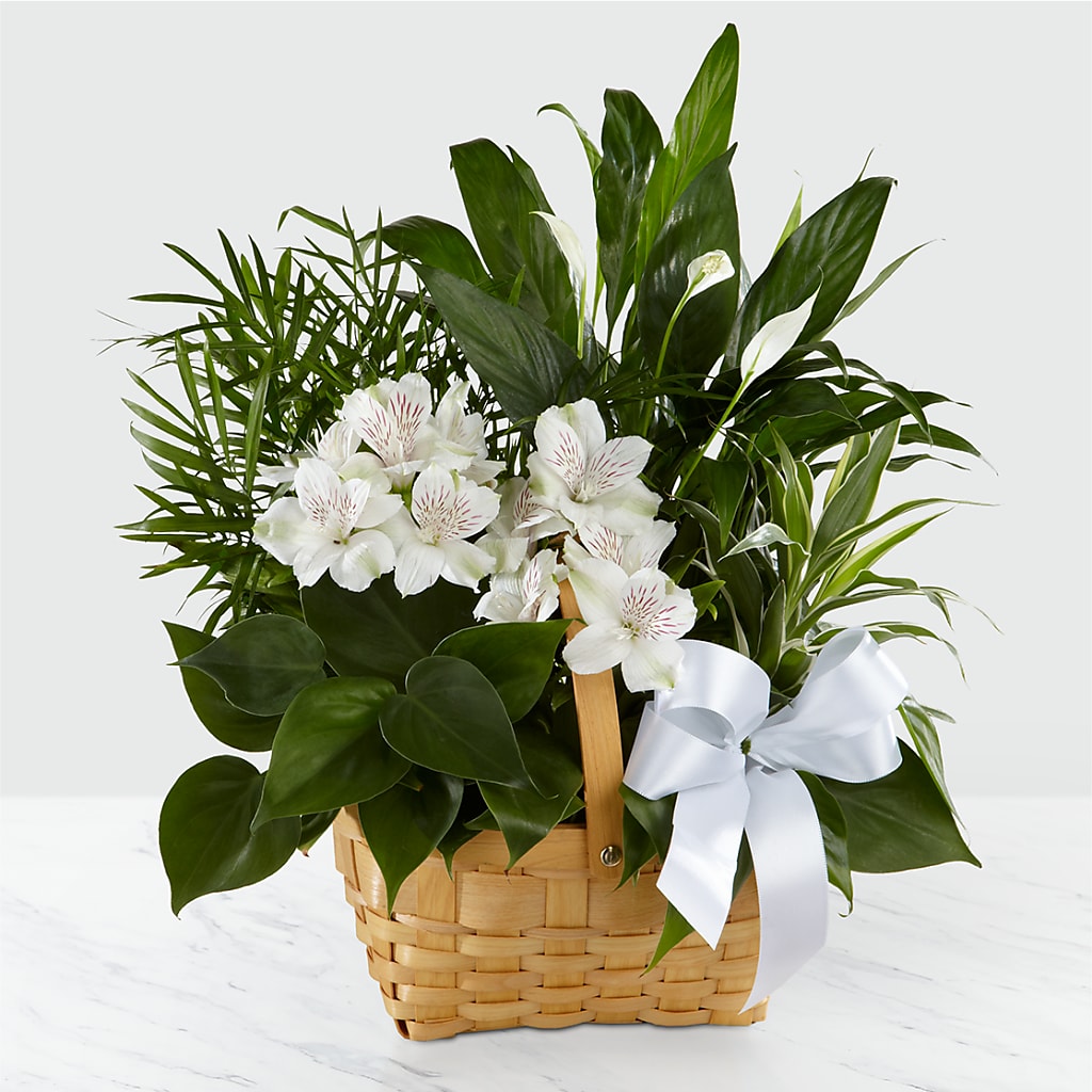Peace & Serenity Dishgarden – DANDELIONS ALL THINGS WEDDINGS & EVENTS, Germanton NC