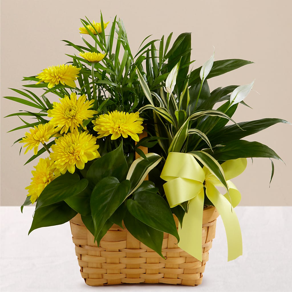 Loving Light Dishgarden – DANDELIONS ALL THINGS WEDDINGS & EVENTS, Germanton NC