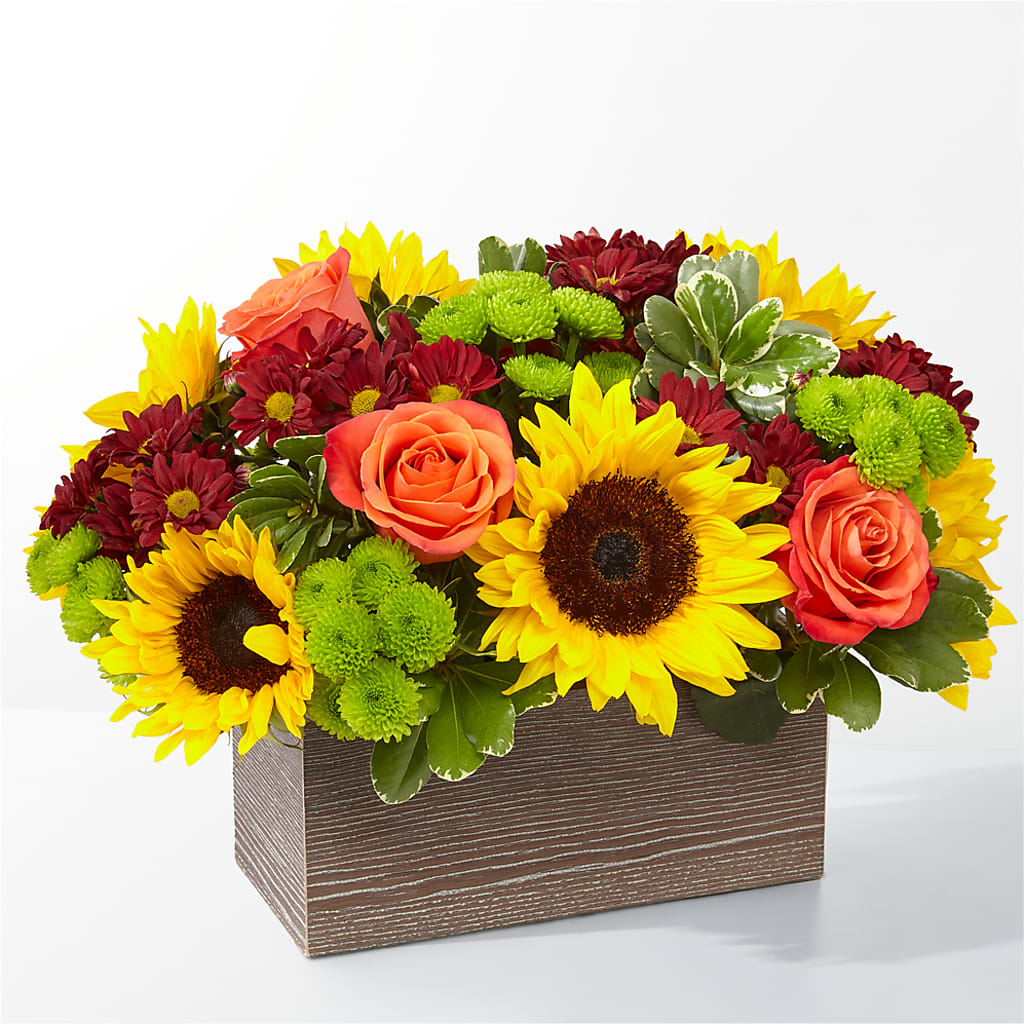 Happy Harvest Garden – DANDELIONS ALL THINGS WEDDINGS & EVENTS, Germanton NC