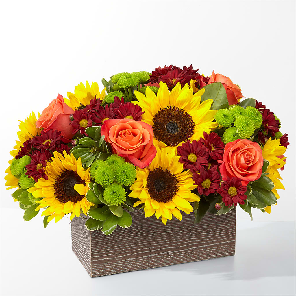 Happy Harvest Garden – DANDELIONS ALL THINGS WEDDINGS & EVENTS, Germanton NC