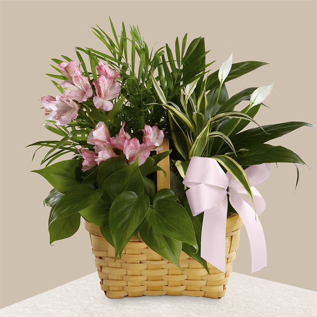 Living Spirit Dishgarden – DANDELIONS ALL THINGS WEDDINGS & EVENTS, Germanton NC