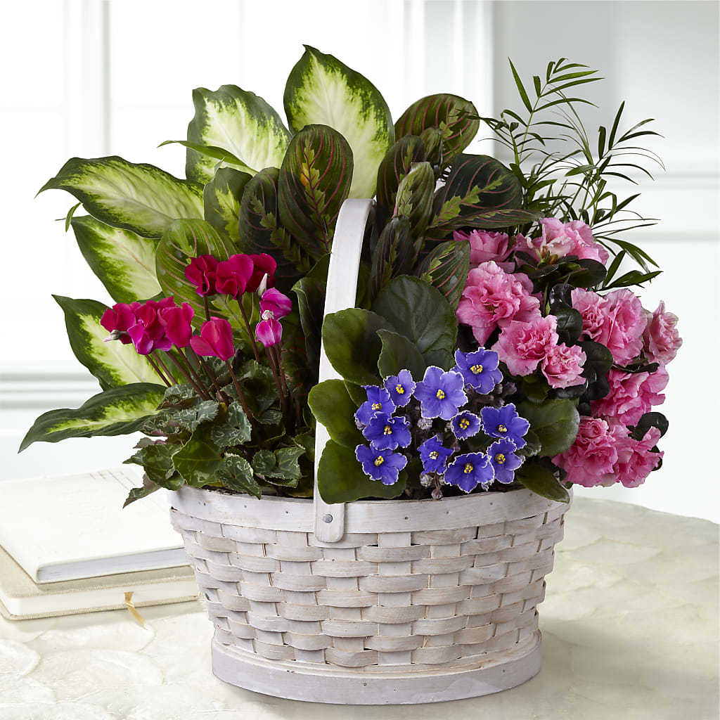 Peaceful Garden Planter – DANDELIONS ALL THINGS WEDDINGS & EVENTS, Germanton NC