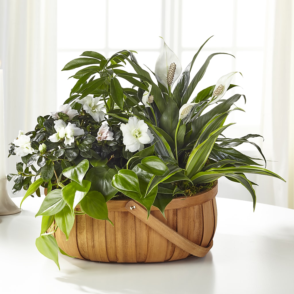 Serene Dishgarden – DANDELIONS ALL THINGS WEDDINGS & EVENTS, Germanton NC