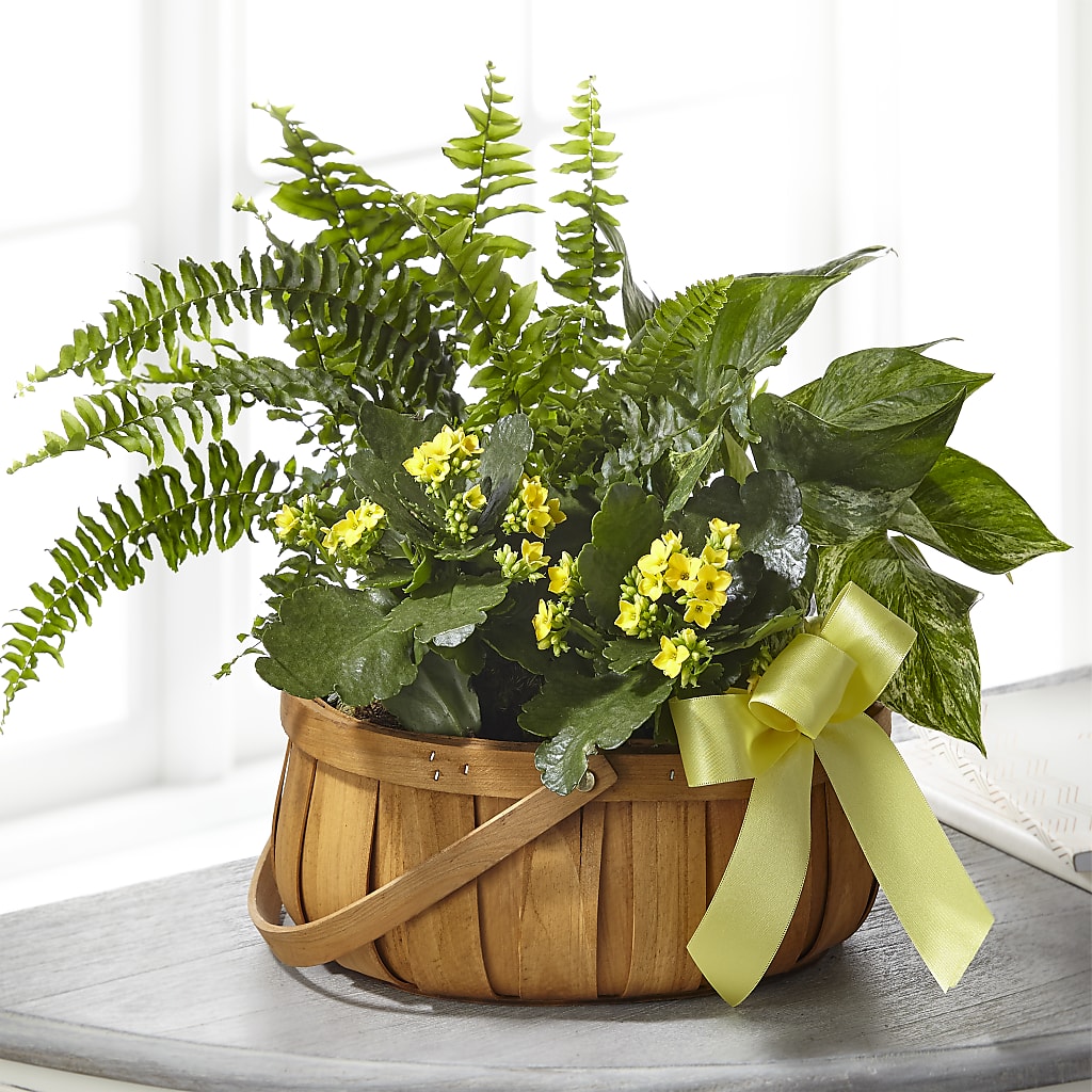 Always Dear Dishgarden – DANDELIONS ALL THINGS WEDDINGS & EVENTS, Germanton NC