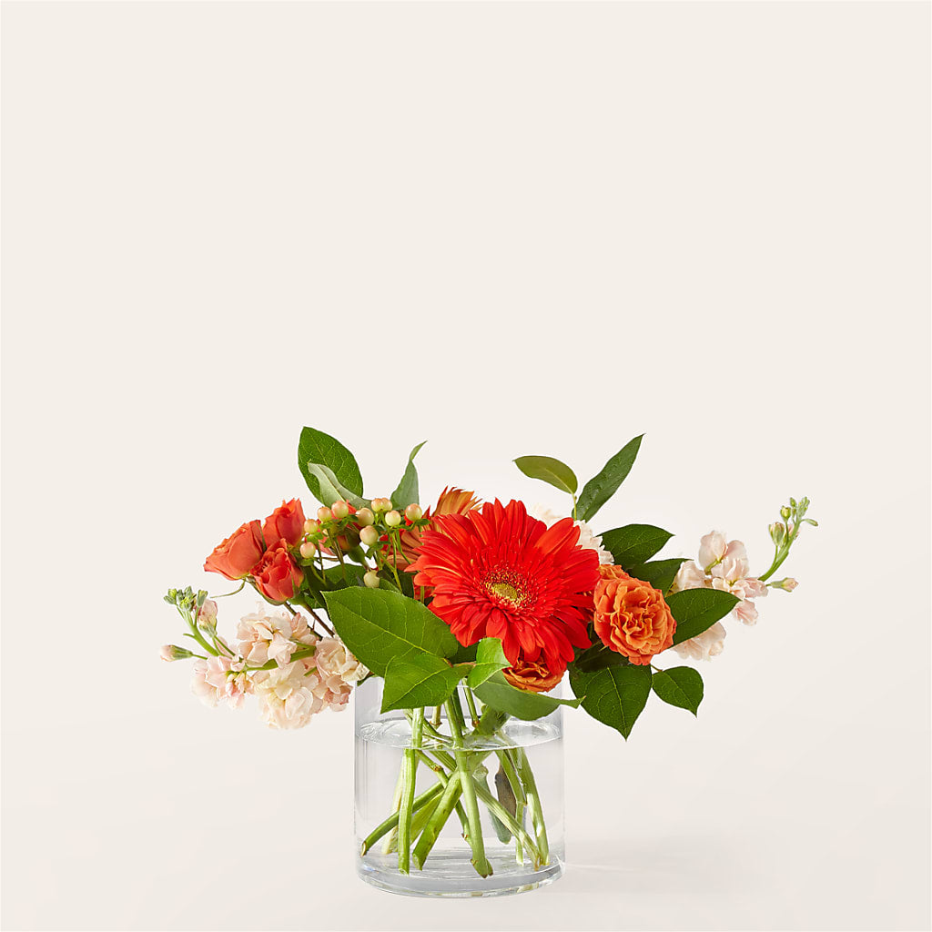 Paloma Please Bouquet – DANDELIONS ALL THINGS WEDDINGS & EVENTS, Germanton NC