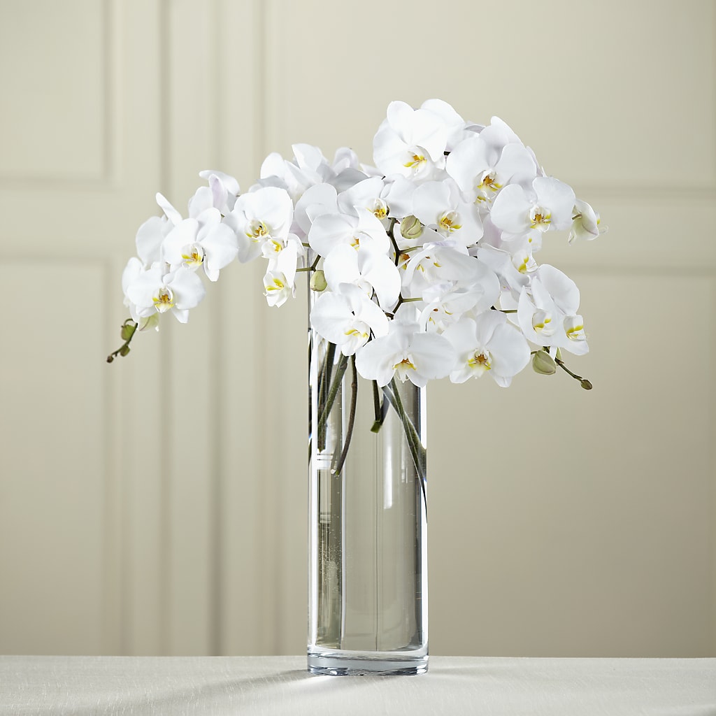 White Phalaenopsis Bouquet – DANDELIONS ALL THINGS WEDDINGS & EVENTS, Germanton NC