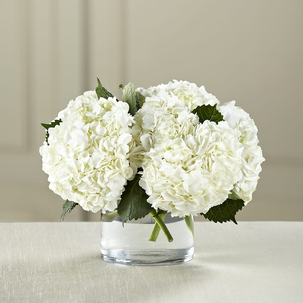 White Hydrangea Bouquet – DANDELIONS ALL THINGS WEDDINGS & EVENTS, Germanton NC
