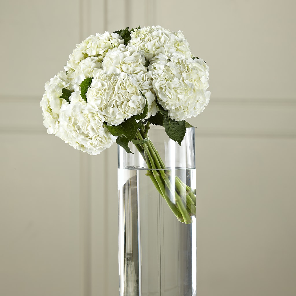 White Hydrangea Hand-Tied Bouquet – DANDELIONS ALL THINGS WEDDINGS & EVENTS, Germanton NC