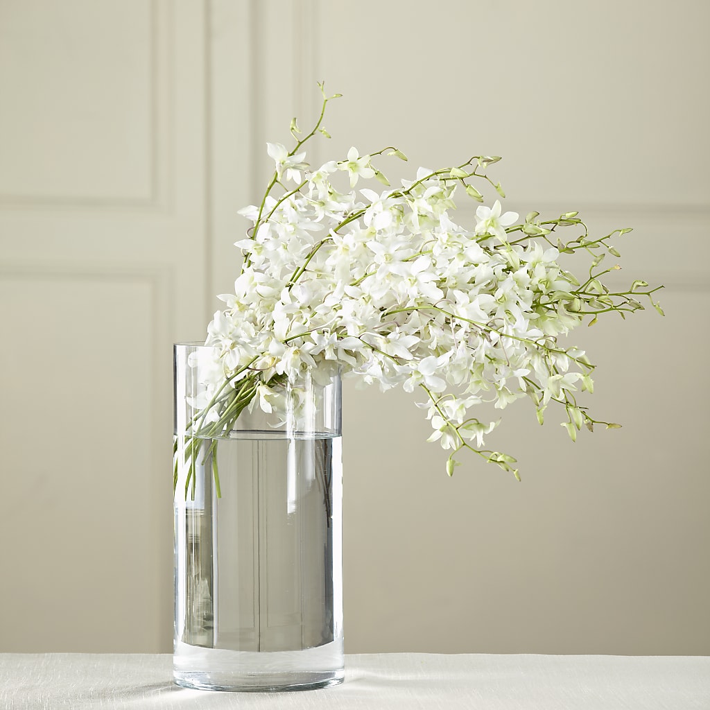 White Dendrobium Bouquet – DANDELIONS ALL THINGS WEDDINGS & EVENTS, Germanton NC