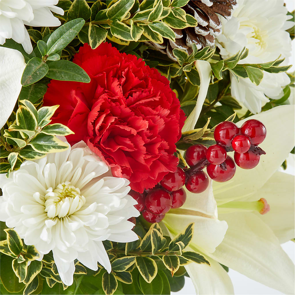 Festive Moments Tree – DANDELIONS ALL THINGS WEDDINGS & EVENTS, Germanton NC