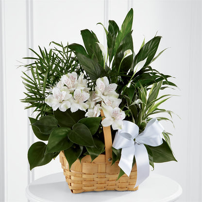 Peace & Serenity Dishgarden – DANDELIONS ALL THINGS WEDDINGS & EVENTS, Germanton NC