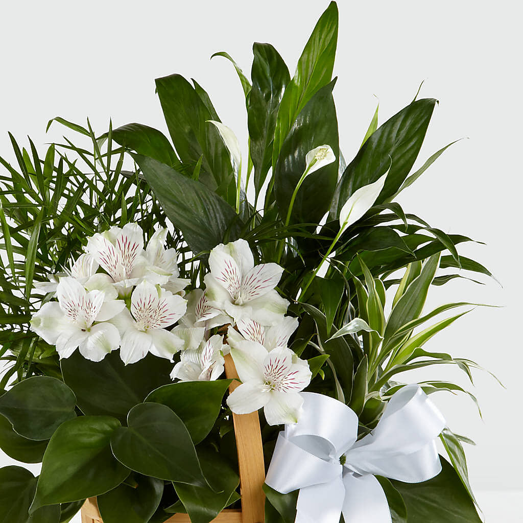 Peace & Serenity Dishgarden – DANDELIONS ALL THINGS WEDDINGS & EVENTS, Germanton NC
