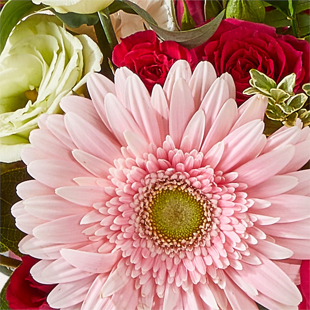 Too Cute Bouquet – DANDELIONS ALL THINGS WEDDINGS & EVENTS, Germanton NC