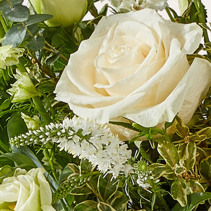 Cashmere Bouquet – DANDELIONS ALL THINGS WEDDINGS & EVENTS, Germanton NC
