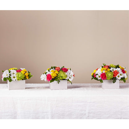 Sorbet Bouquet – DANDELIONS ALL THINGS WEDDINGS & EVENTS, Germanton NC
