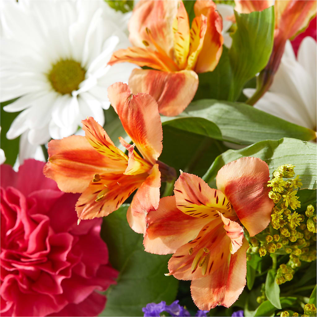 Oopsie Daisy Box Bouquet – DANDELIONS ALL THINGS WEDDINGS & EVENTS, Germanton NC
