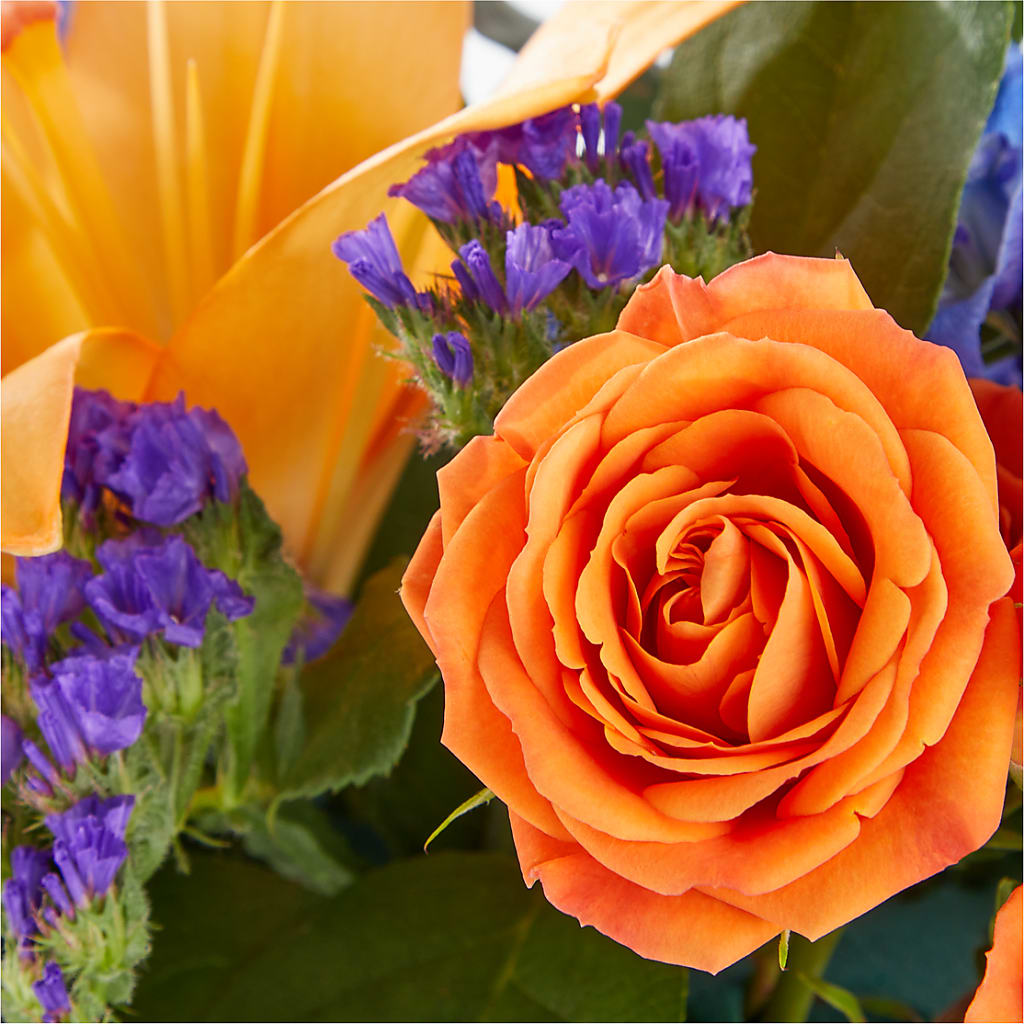 Radiant Citrus Box Bouquet – DANDELIONS ALL THINGS WEDDINGS & EVENTS, Germanton NC