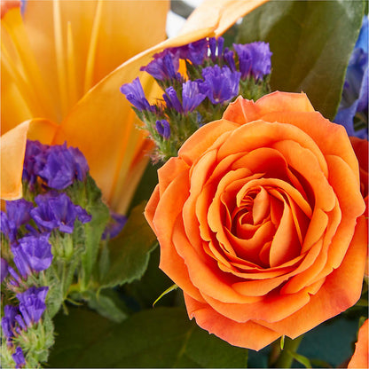 Radiant Citrus Box Bouquet – DANDELIONS ALL THINGS WEDDINGS & EVENTS, Germanton NC