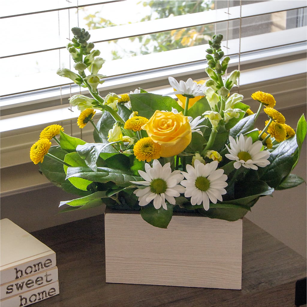 Sun Salutation Box Bouquet – DANDELIONS ALL THINGS WEDDINGS & EVENTS, Germanton NC