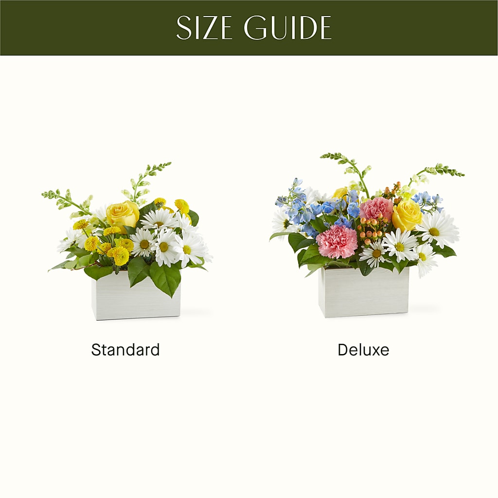Sun Salutation Box Bouquet – DANDELIONS ALL THINGS WEDDINGS & EVENTS, Germanton NC