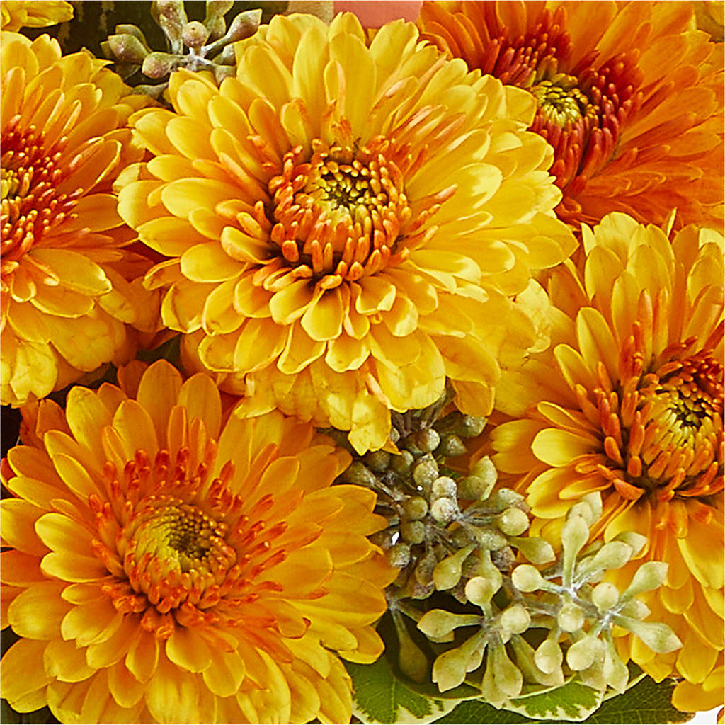 Peachy Pumpkin – DANDELIONS ALL THINGS WEDDINGS & EVENTS, Germanton NC