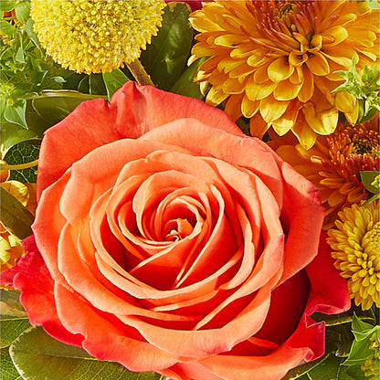 Gourdgeous Pumpkin – DANDELIONS ALL THINGS WEDDINGS & EVENTS, Germanton NC