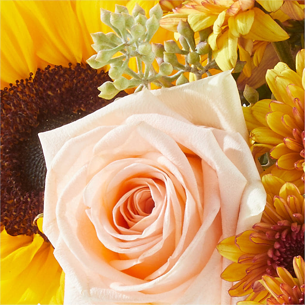 Pumpkin to Talk About Bouquet – DANDELIONS ALL THINGS WEDDINGS & EVENTS, Germanton NC
