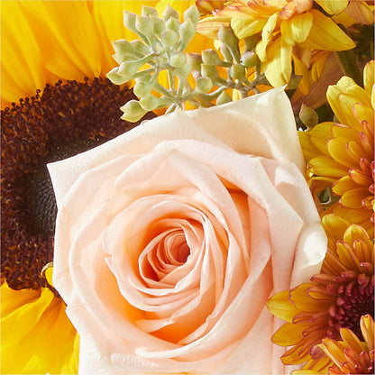 Pumpkin to Talk About Bouquet – DANDELIONS ALL THINGS WEDDINGS & EVENTS, Germanton NC