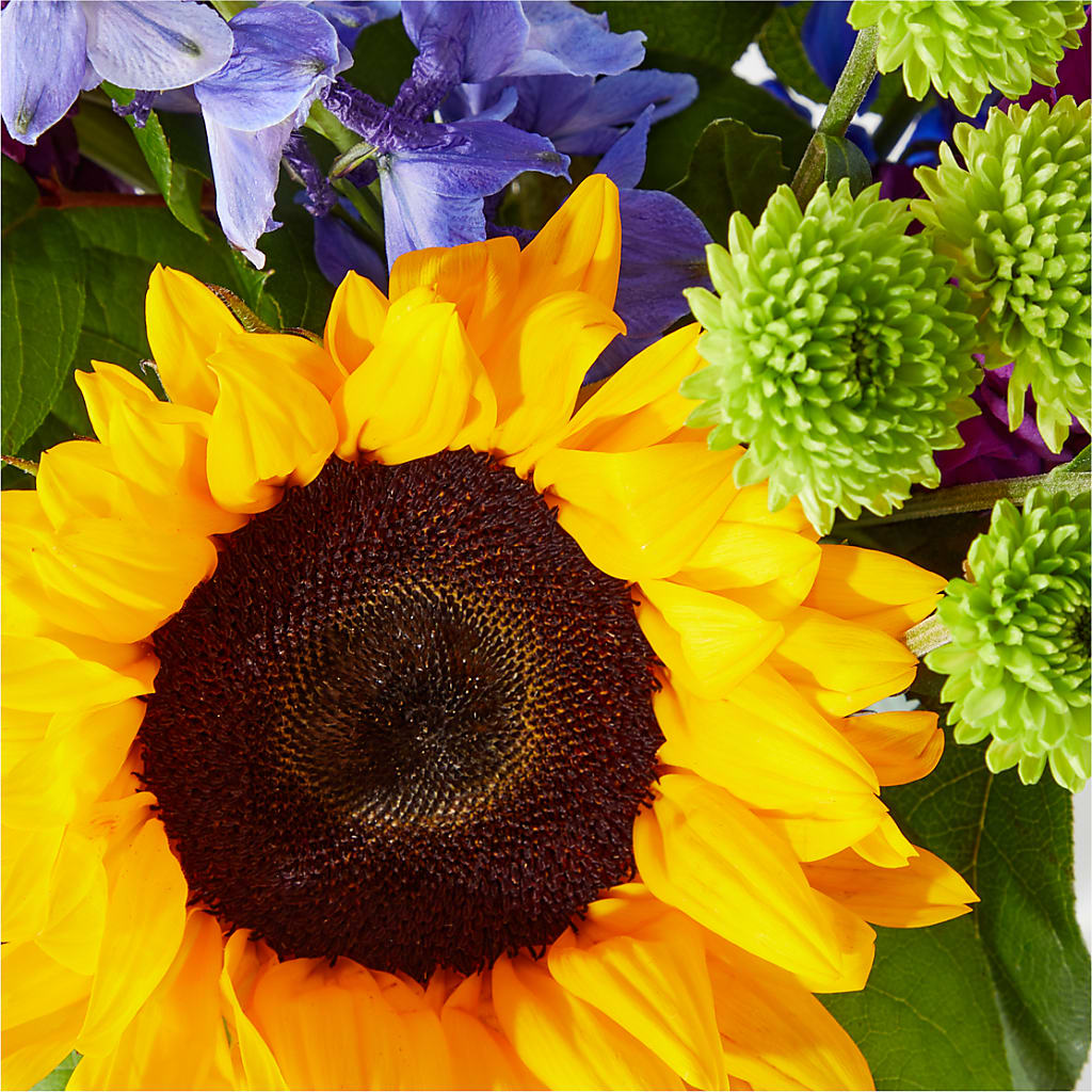 Catching Rays Bouquet – DANDELIONS ALL THINGS WEDDINGS & EVENTS, Germanton NC