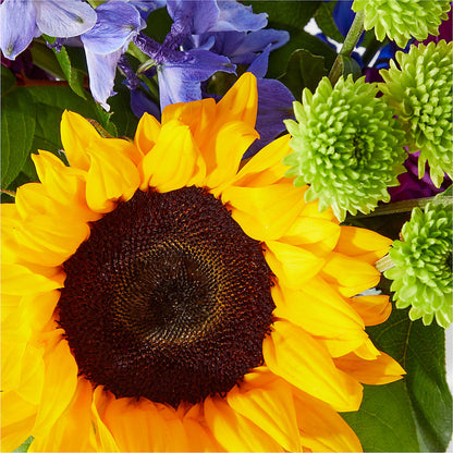 Catching Rays Bouquet – DANDELIONS ALL THINGS WEDDINGS & EVENTS, Germanton NC