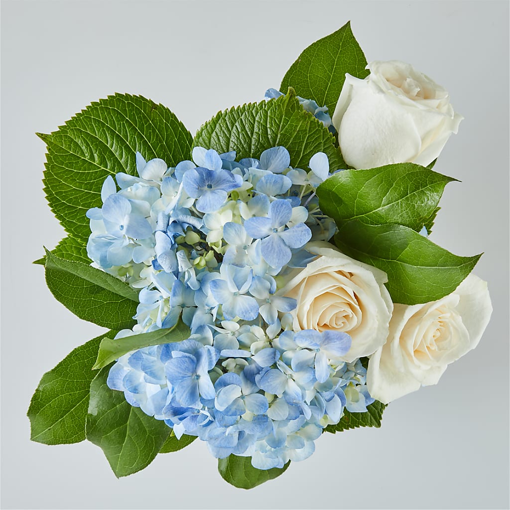 Sky Blue Delight Bouquet – DANDELIONS ALL THINGS WEDDINGS & EVENTS, Germanton NC