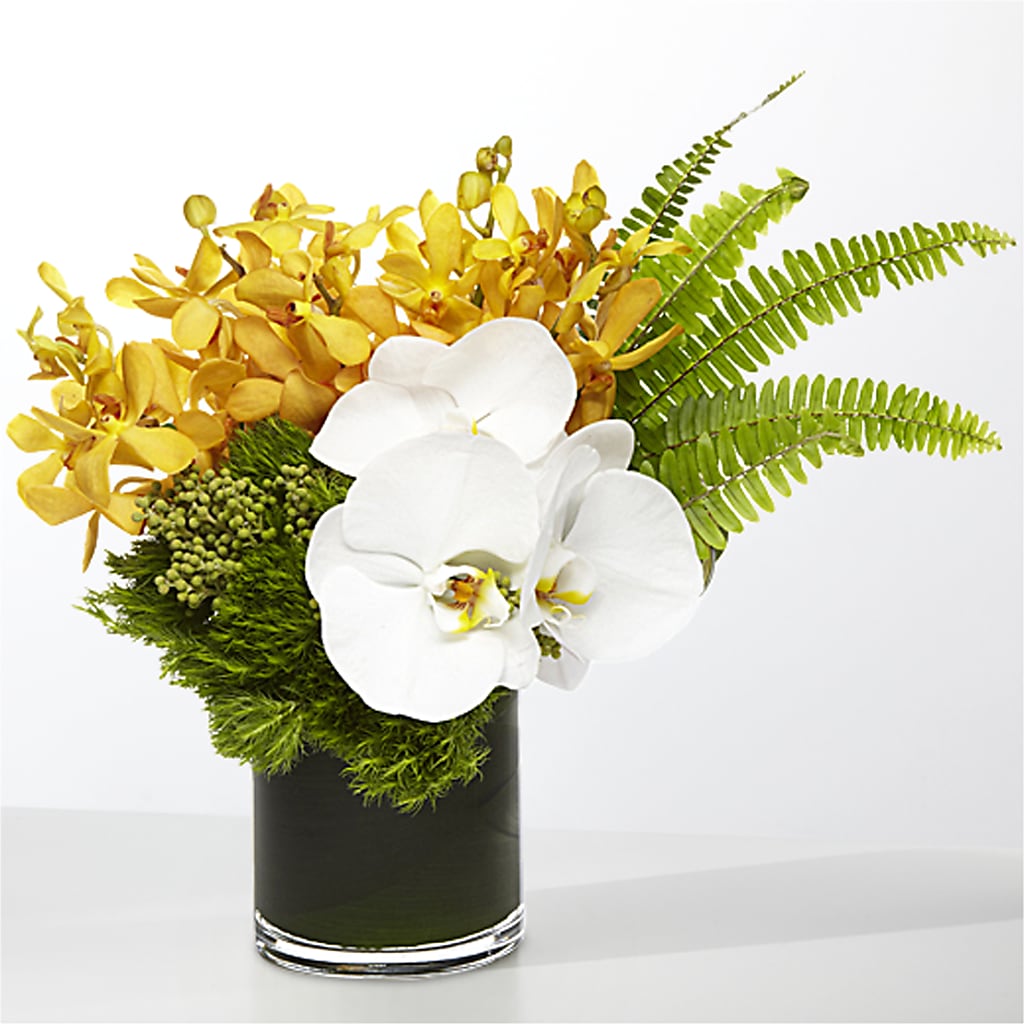 The Tropics – DANDELIONS ALL THINGS WEDDINGS & EVENTS, Germanton NC