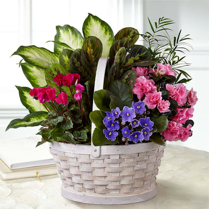 Peaceful Garden Planter – DANDELIONS ALL THINGS WEDDINGS & EVENTS, Germanton NC