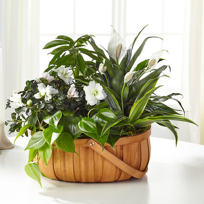 Serene Dishgarden – DANDELIONS ALL THINGS WEDDINGS & EVENTS, Germanton NC