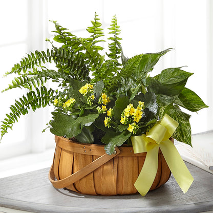 Always Dear Dishgarden – DANDELIONS ALL THINGS WEDDINGS & EVENTS, Germanton NC