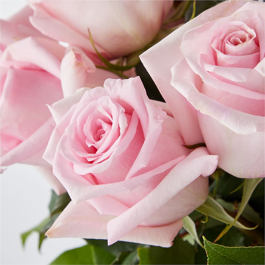 Picture Perfect Pink Rose Bouquet – DANDELIONS ALL THINGS WEDDINGS & EVENTS, Germanton NC