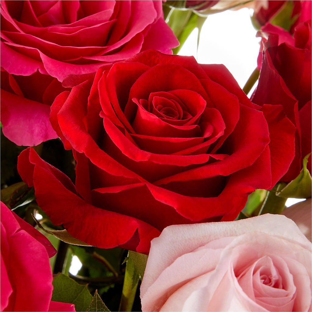 Love Notes Rose Bouquet – DANDELIONS ALL THINGS WEDDINGS & EVENTS, Germanton NC