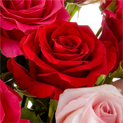 Love Notes Rose Bouquet – DANDELIONS ALL THINGS WEDDINGS & EVENTS, Germanton NC