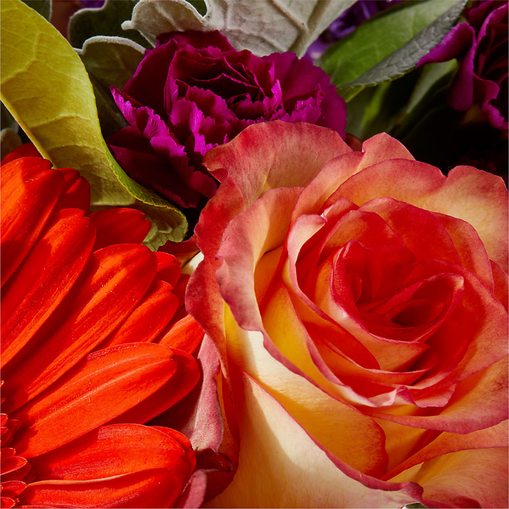 Sangria Bouquet – DANDELIONS ALL THINGS WEDDINGS & EVENTS, Germanton NC