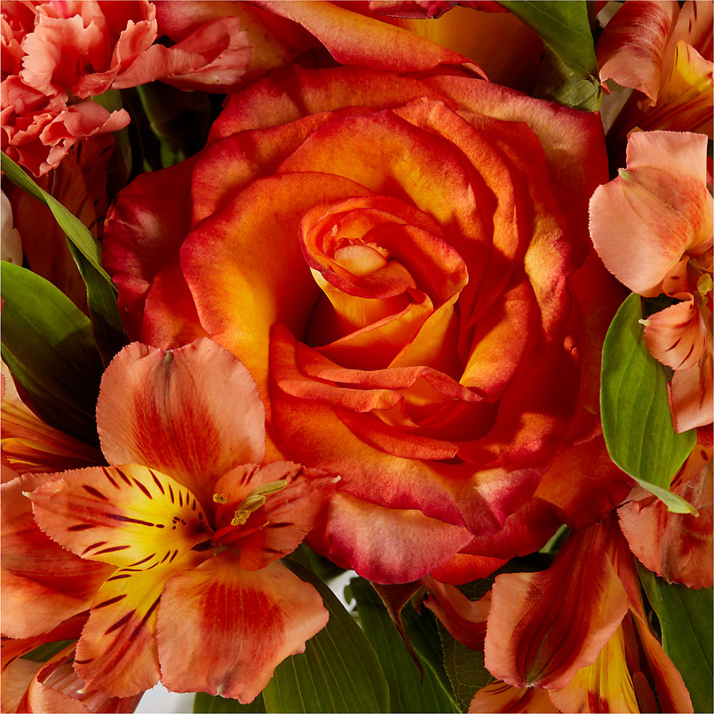 Apricot Glow Bouquet – DANDELIONS ALL THINGS WEDDINGS & EVENTS, Germanton NC