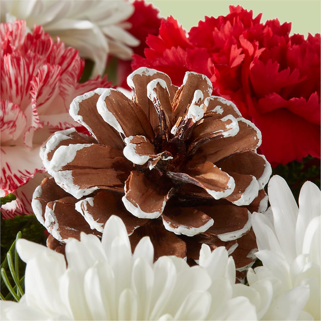 Candy Cane Lane Bouquet – DANDELIONS ALL THINGS WEDDINGS & EVENTS, Germanton NC
