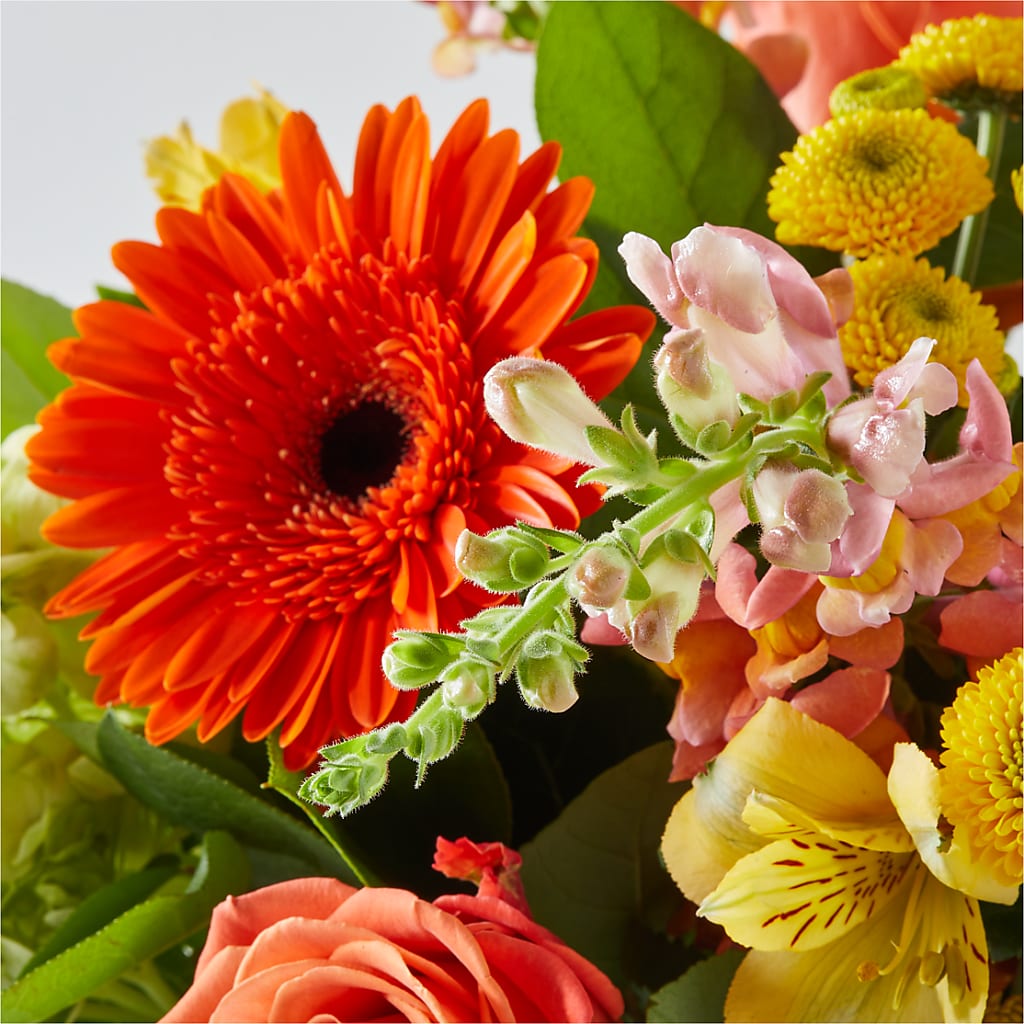 Autumn Sunshine Bouquet – DANDELIONS ALL THINGS WEDDINGS & EVENTS, Germanton NC
