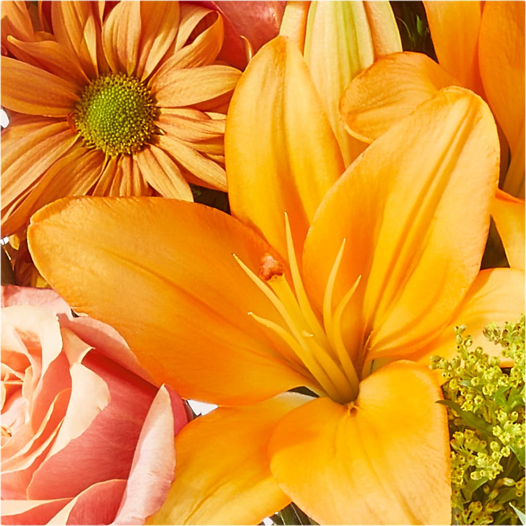 Harvest Hayride Bouquet – DANDELIONS ALL THINGS WEDDINGS & EVENTS, Germanton NC
