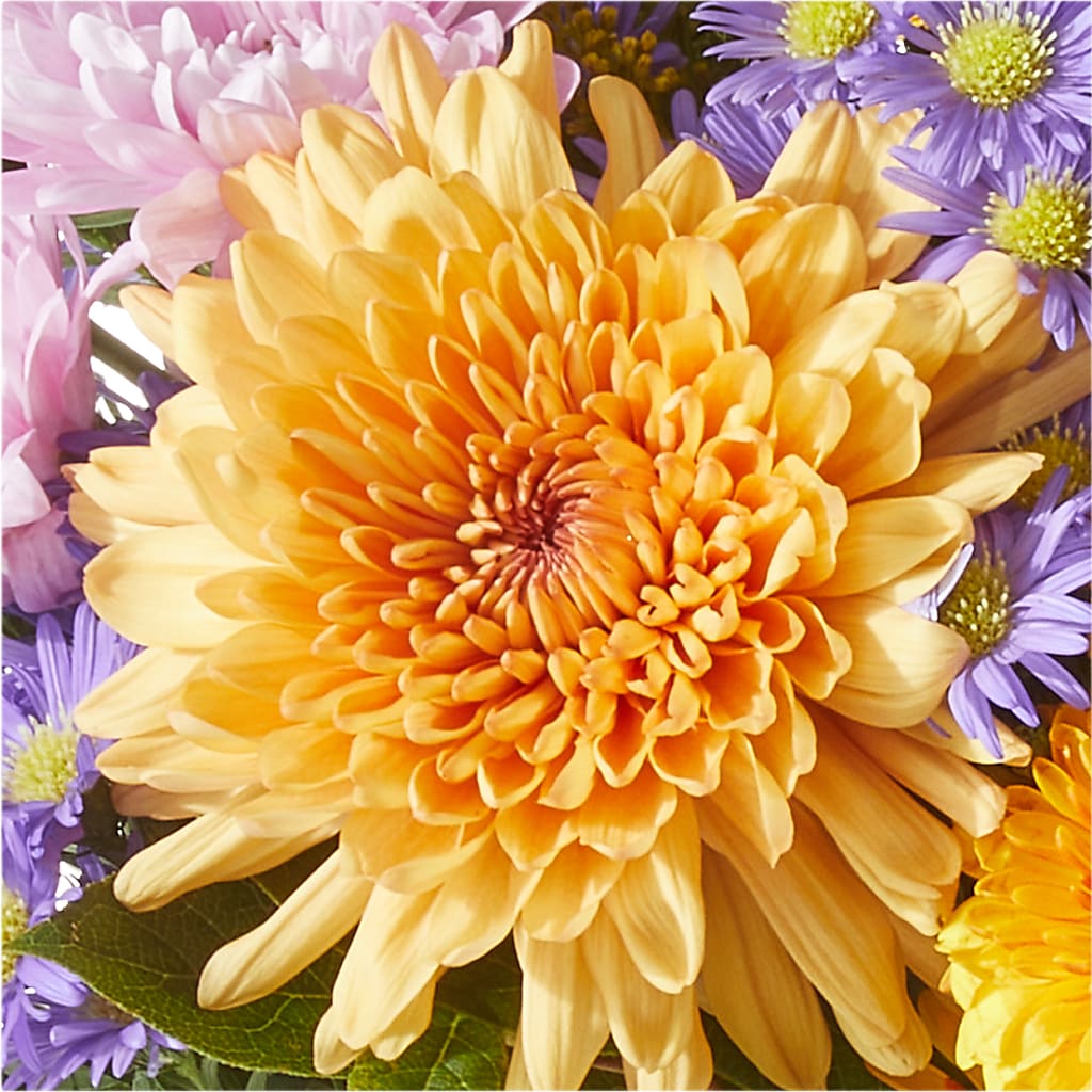 Countryside Bouquet – DANDELIONS ALL THINGS WEDDINGS & EVENTS, Germanton NC