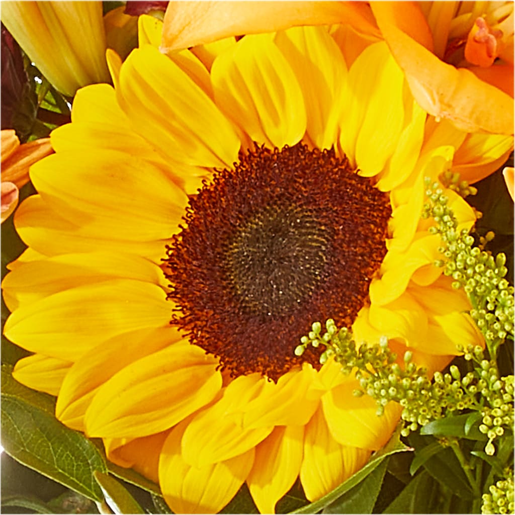 Seasons Change Bouquet – DANDELIONS ALL THINGS WEDDINGS & EVENTS, Germanton NC