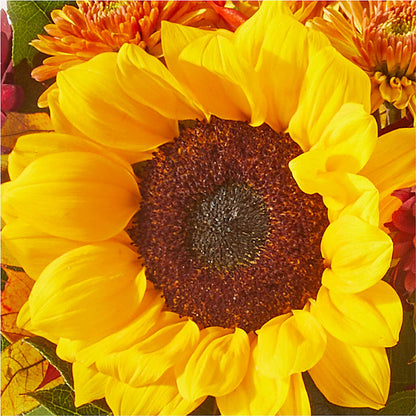Sunny Side Bouquet – DANDELIONS ALL THINGS WEDDINGS & EVENTS, Germanton NC