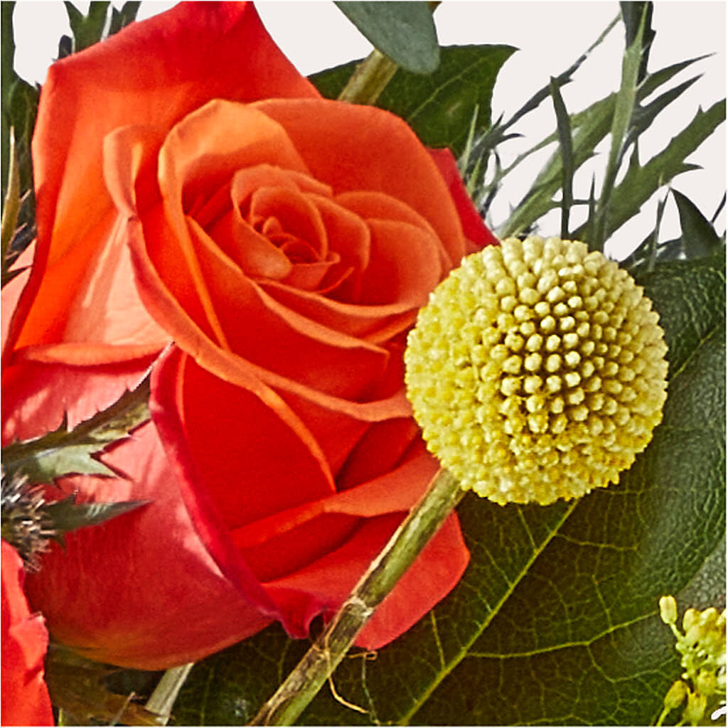 Disco Bouquet – DANDELIONS ALL THINGS WEDDINGS & EVENTS, Germanton NC