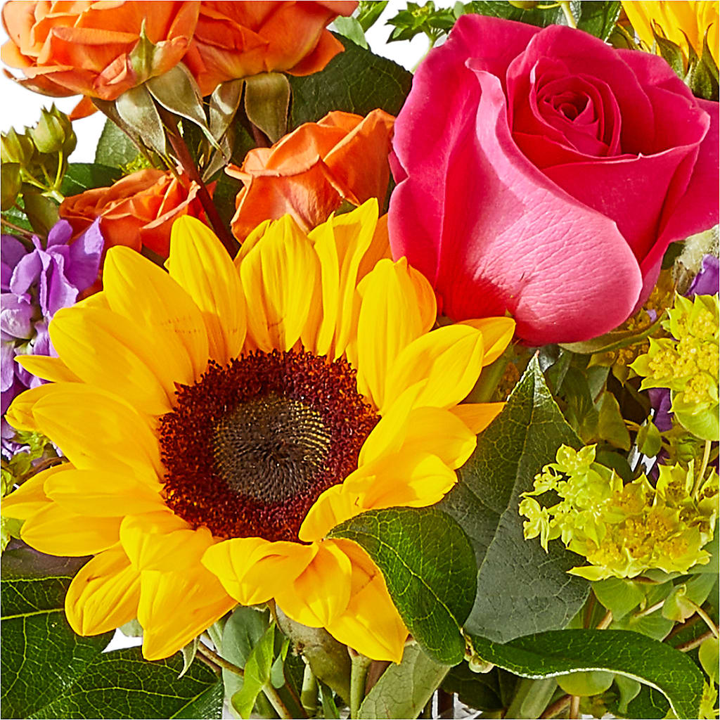 Vibrant Greetings Bouquet – DANDELIONS ALL THINGS WEDDINGS & EVENTS, Germanton NC